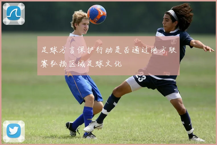 足球方言保护行动是否通过地方联赛弘扬区域足球文化