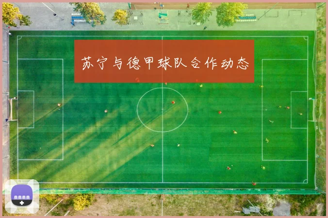 苏宁与德甲球队合作动态