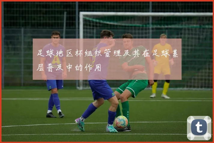足球地区杯组织管理及其在足球基层普及中的作用