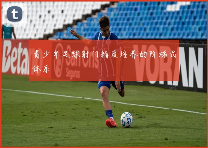 青少年足球射门精度培养的阶梯式体系