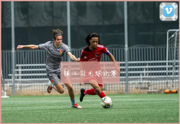 镇江羽毛球比赛